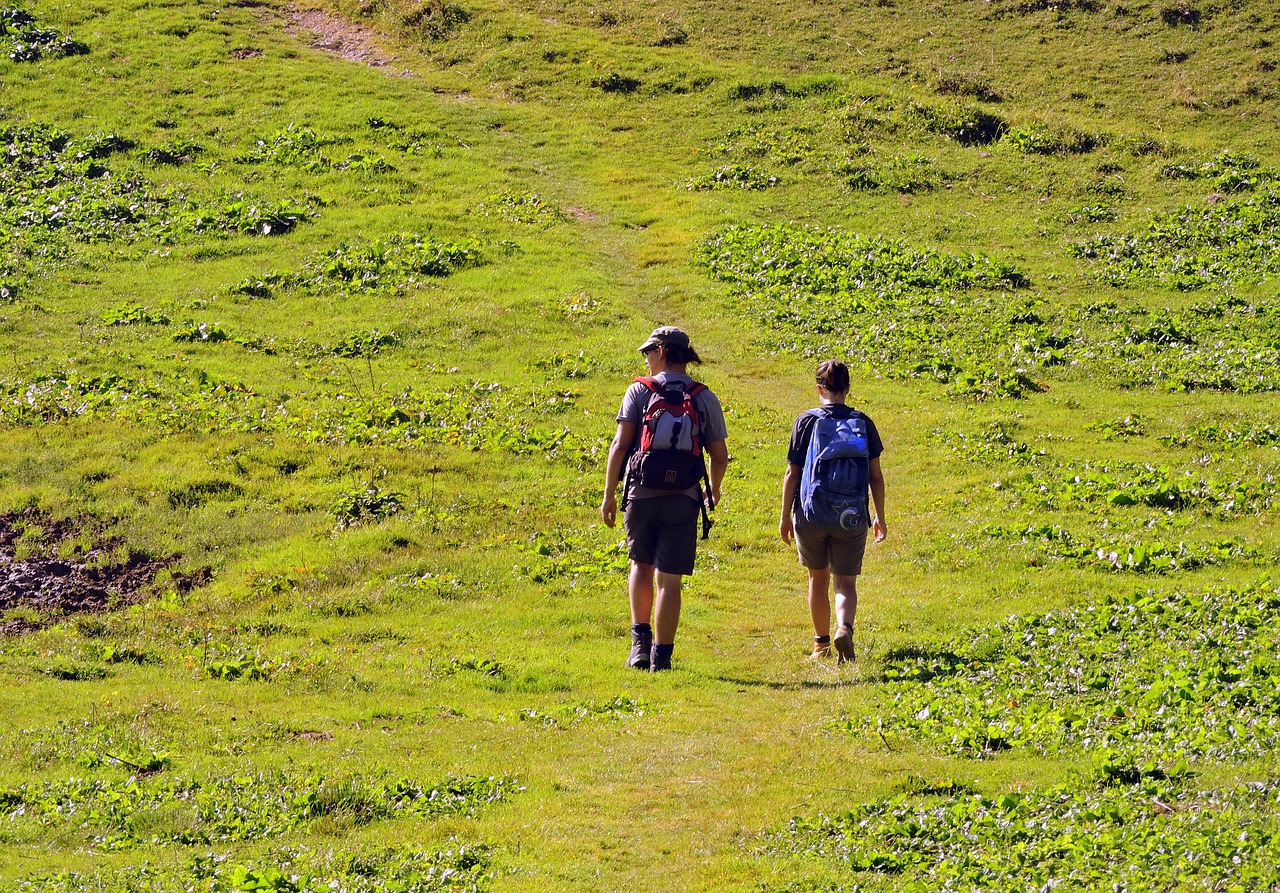 Magna Via Francigena